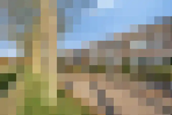 Coeshoeck 21 Emmeloord thumbnail 31