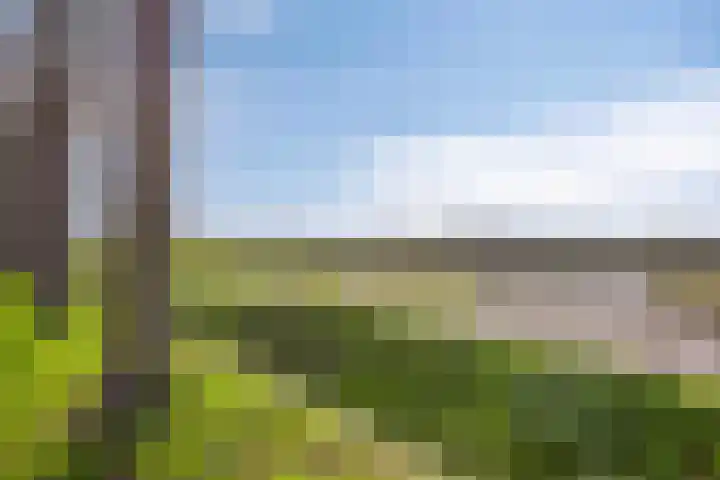 Coeshoeck 21 Emmeloord thumbnail 32