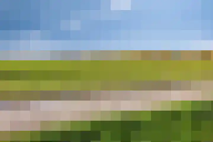 Coeshoeck 21 Emmeloord thumbnail 33