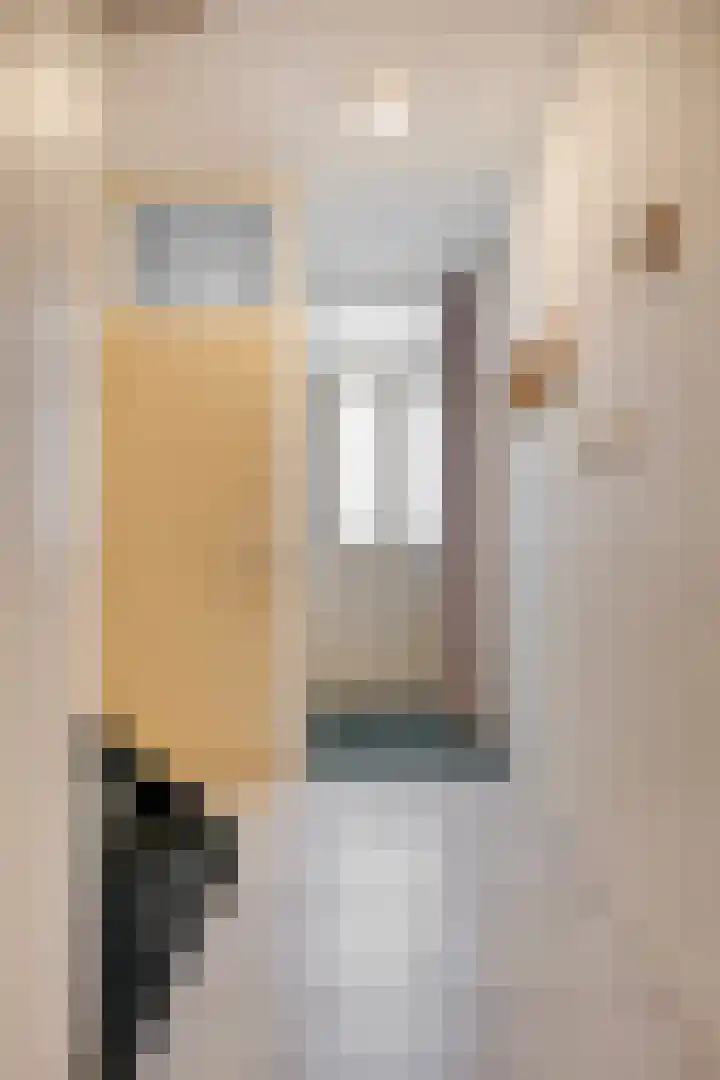 Coeshoeck 21 Emmeloord thumbnail 4