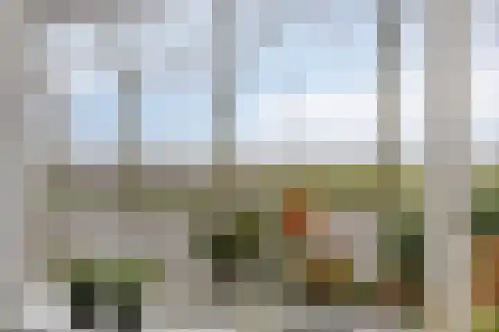 Coeshoeck 21 Emmeloord thumbnail 7