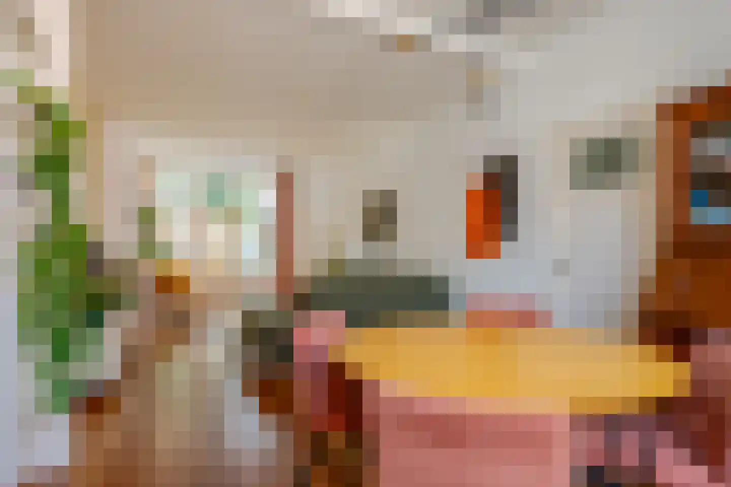 Coetsstraat 15 Zwolle thumbnail 11
