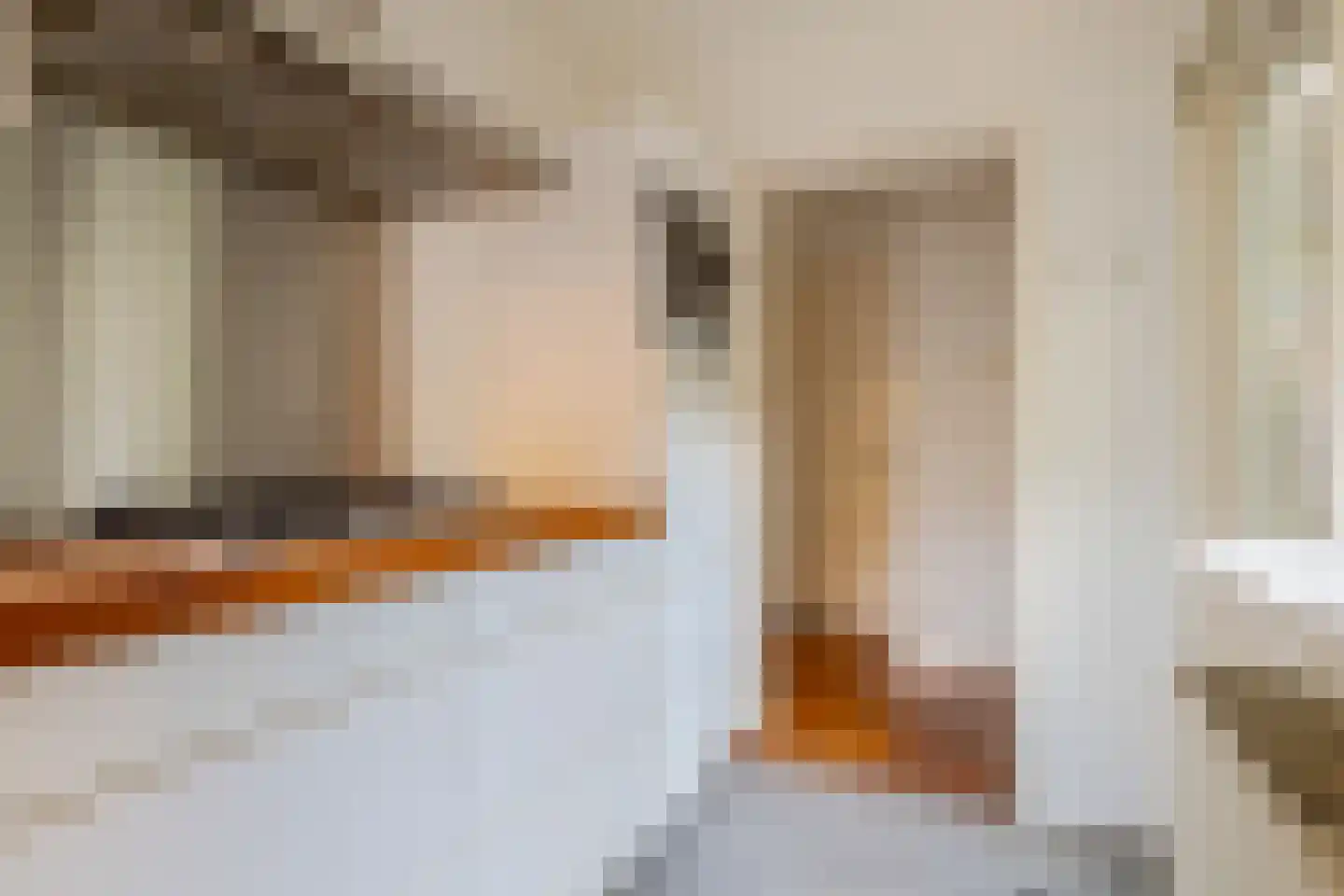Coetsstraat 15 Zwolle thumbnail 17