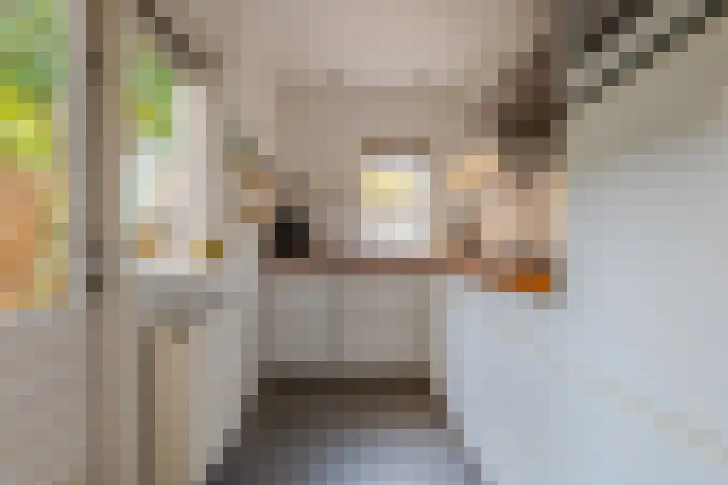 Coetsstraat 15 Zwolle thumbnail 18