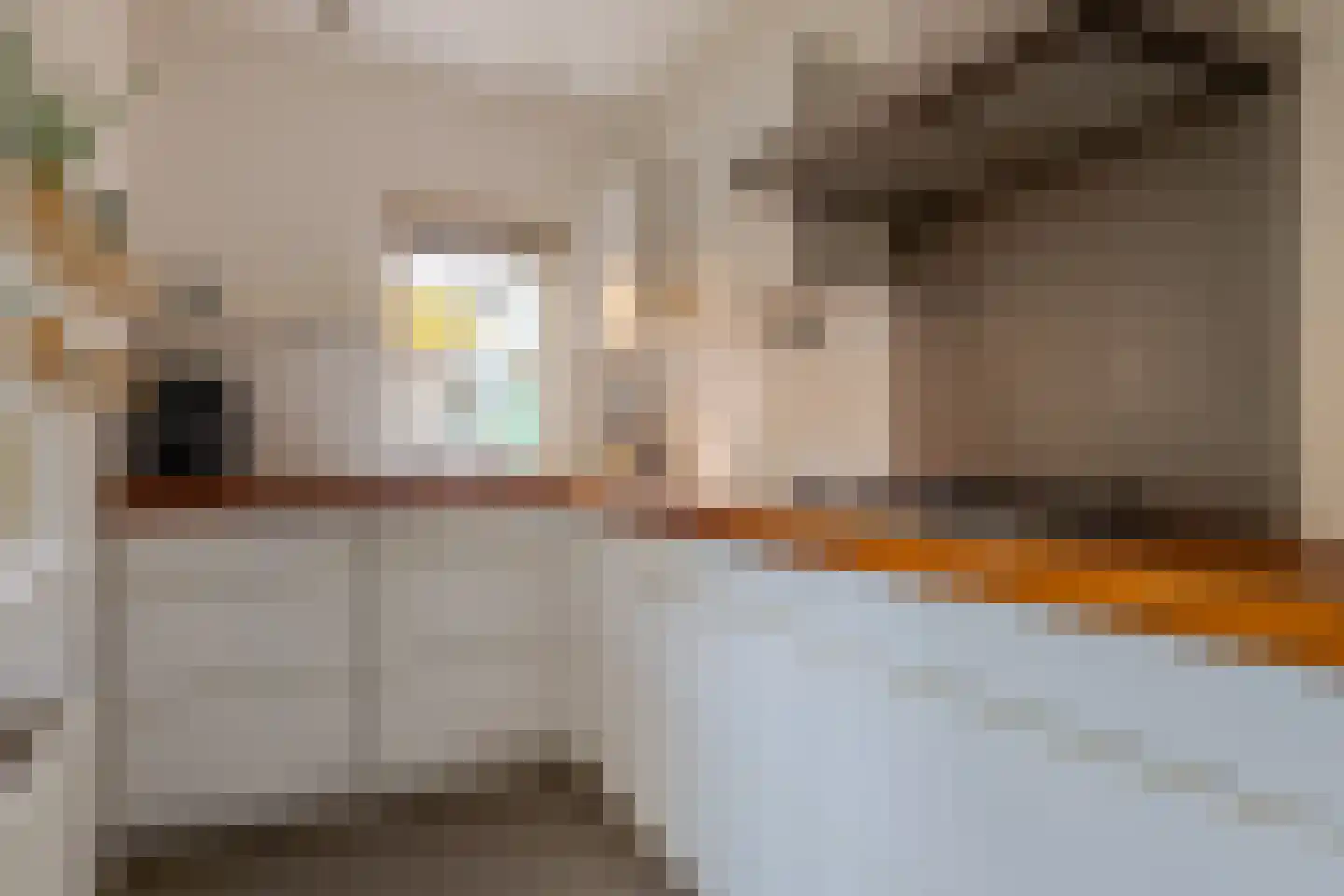 Coetsstraat 15 Zwolle thumbnail 19