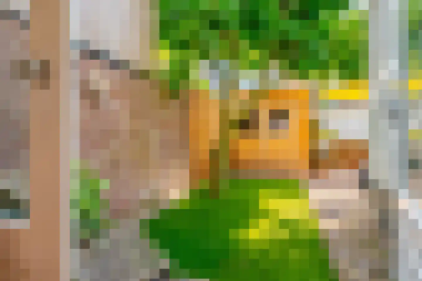 Coetsstraat 15 Zwolle thumbnail 21