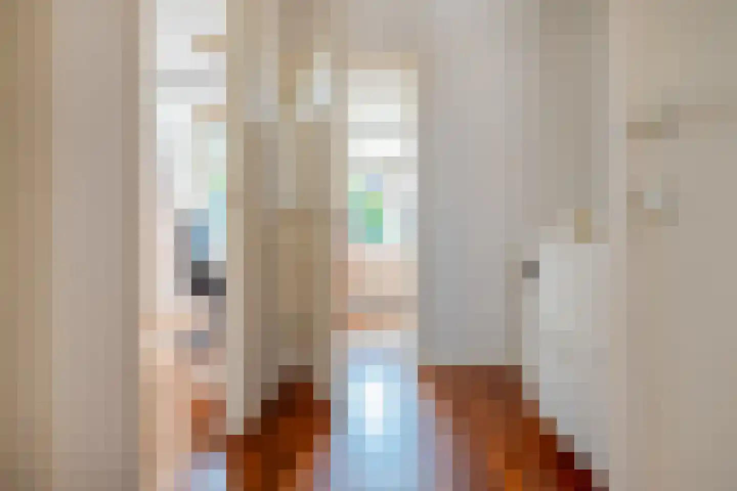 Coetsstraat 15 Zwolle thumbnail 28