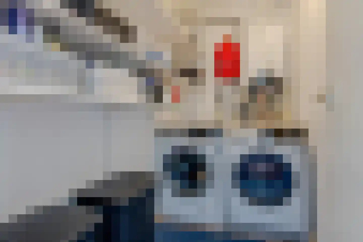 Coetsstraat 15 Zwolle thumbnail 33