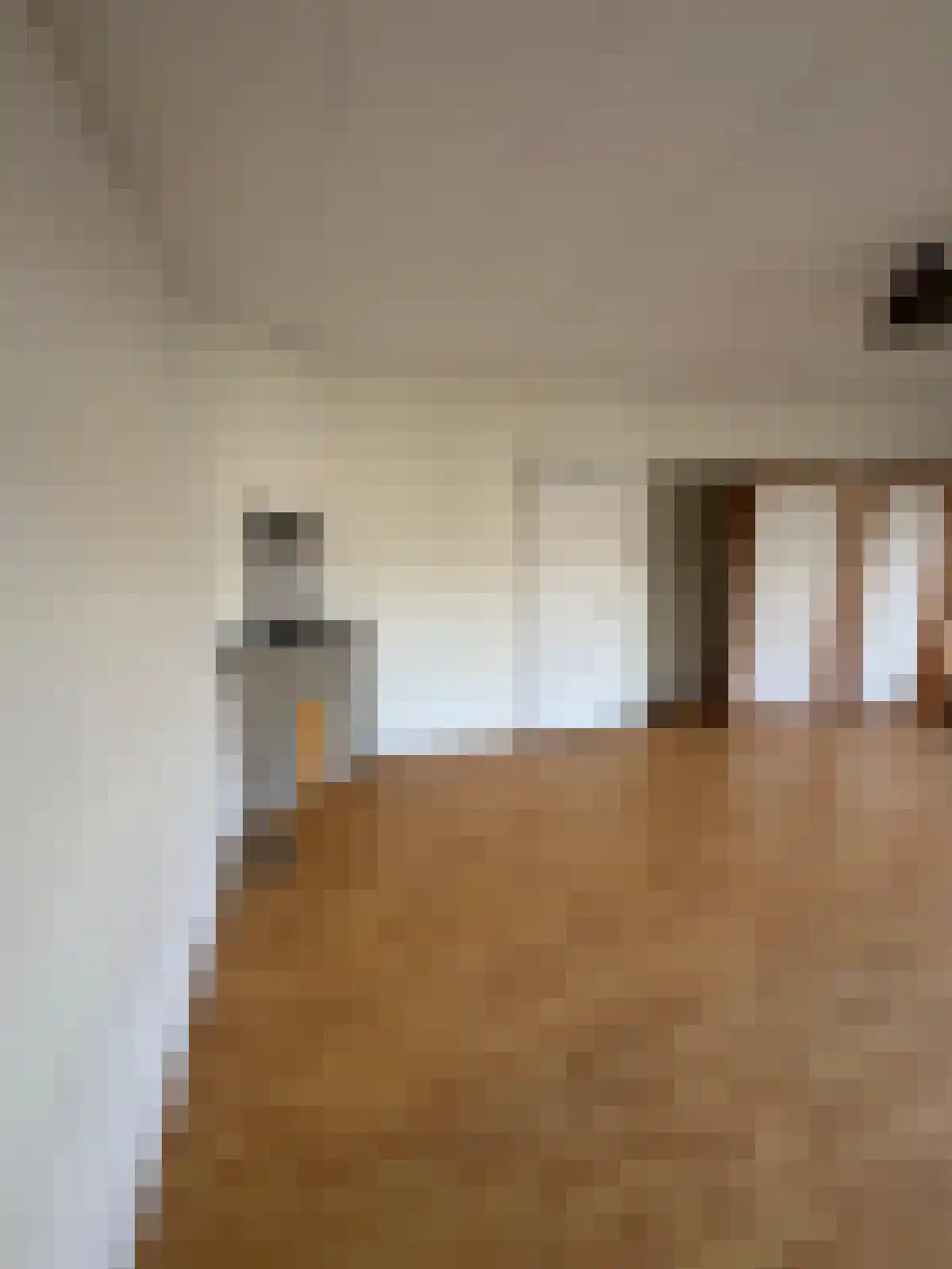 Coetsstraat 3 Zwolle thumbnail 4