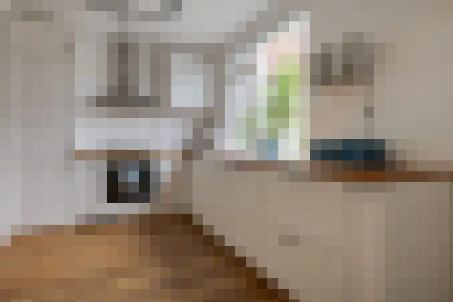 Coetsstraat 39 Zwolle thumbnail 19