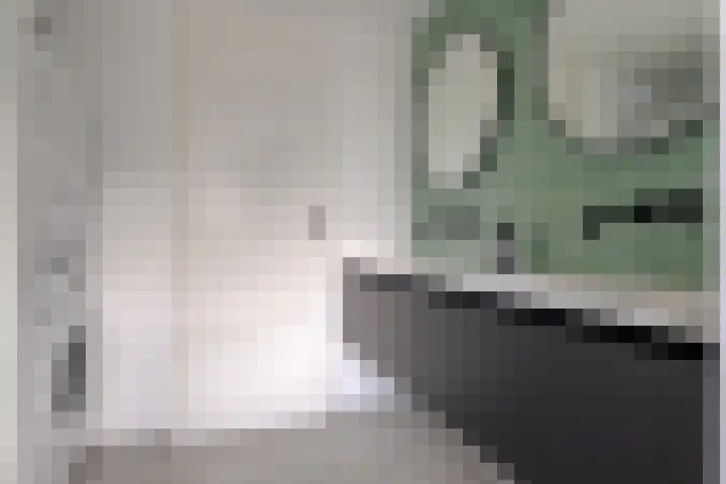 Coetsstraat 39 Zwolle thumbnail 40
