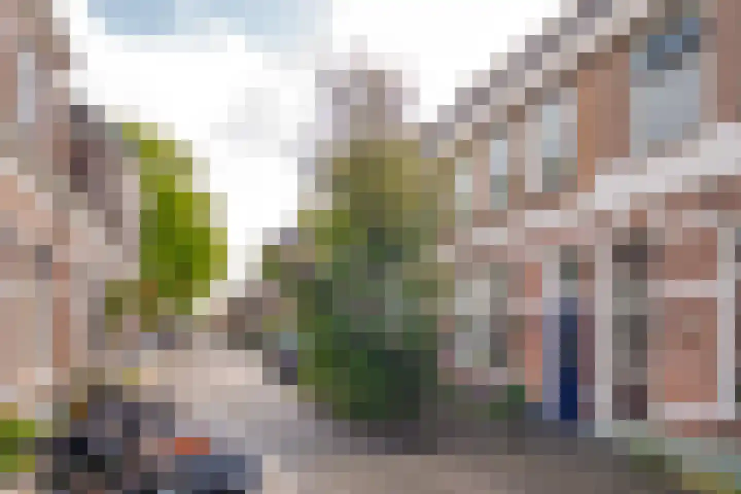 Coetsstraat 39 Zwolle thumbnail 51
