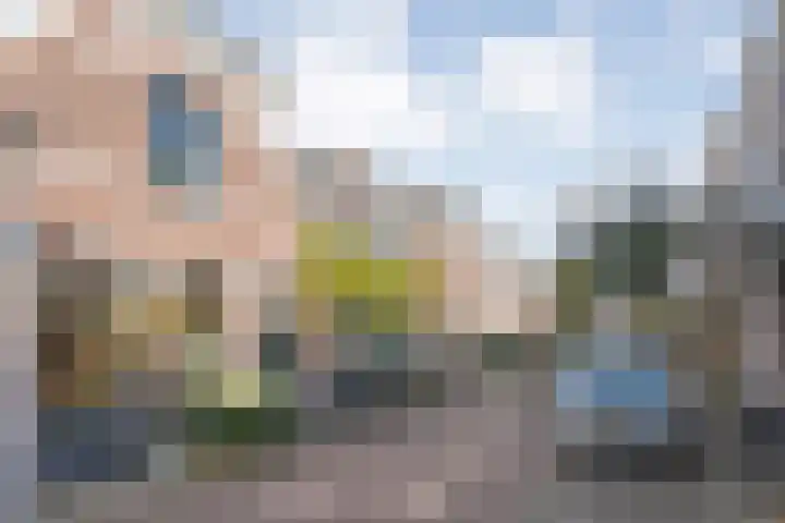 Coetsstraat 40 Zwolle thumbnail 29