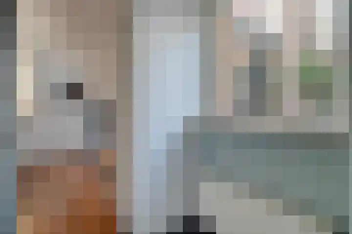 Coetsstraat 40 Zwolle thumbnail 8
