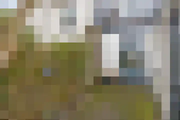 Coetsstraat 53 Zwolle thumbnail 23