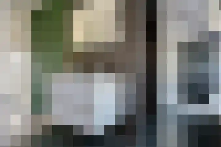 Coetsstraat 55 Zwolle thumbnail 29