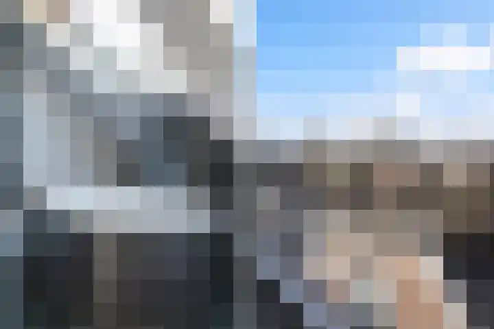 Coetsstraat 55 Zwolle thumbnail 32
