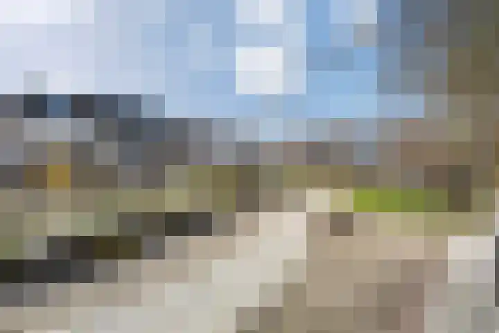 Coetsstraat 55 Zwolle thumbnail 34