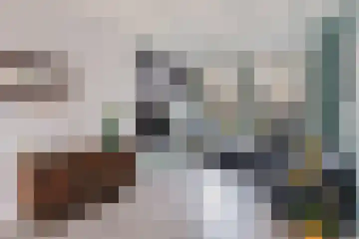 Coetsstraat 55 Zwolle thumbnail 4