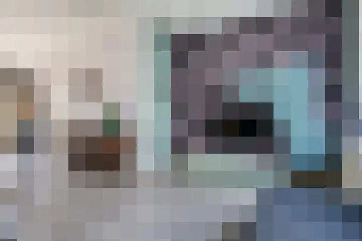 Coetsstraat 55 Zwolle thumbnail 6