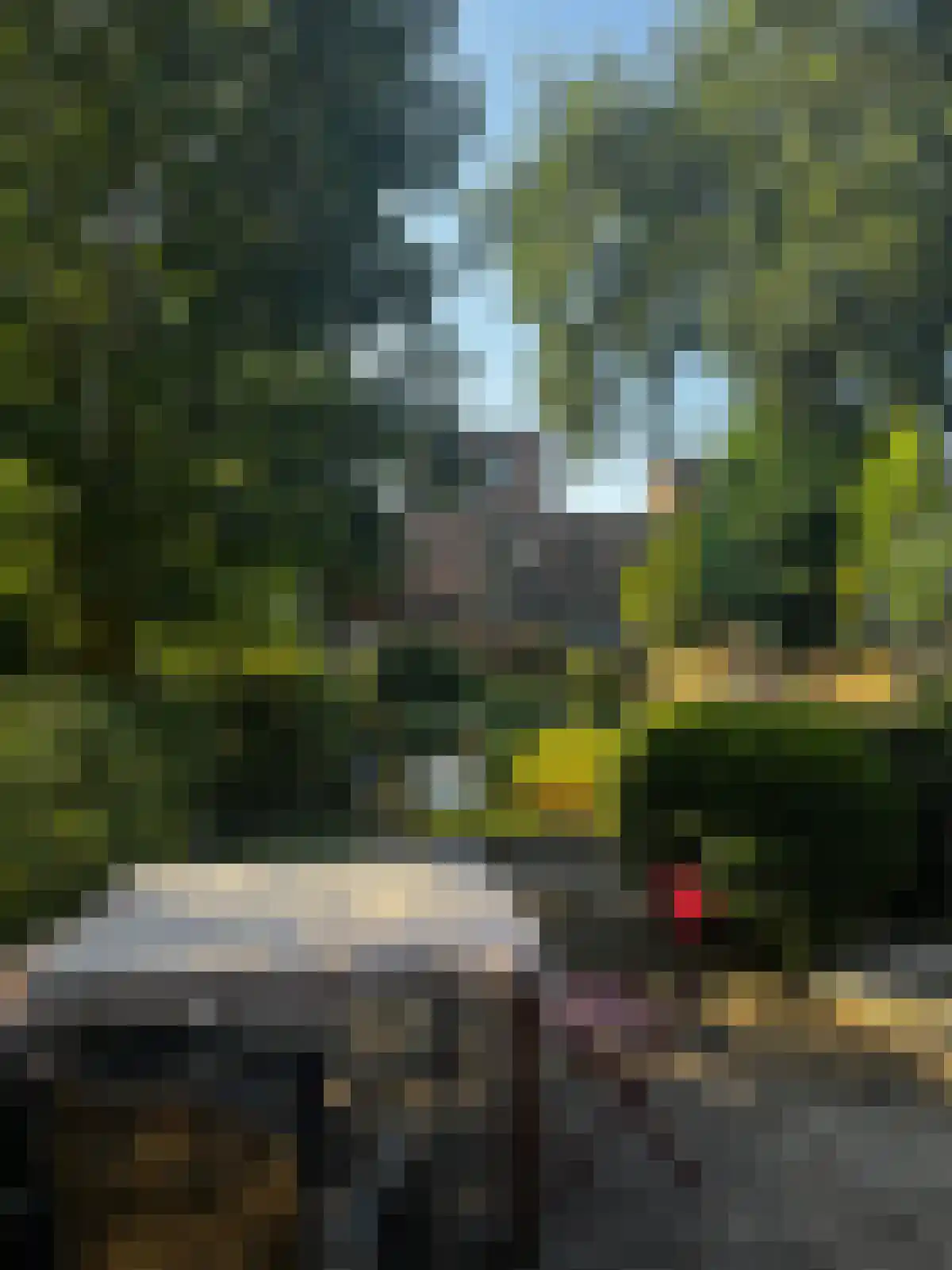 Coetsstraat Zwolle thumbnail 4