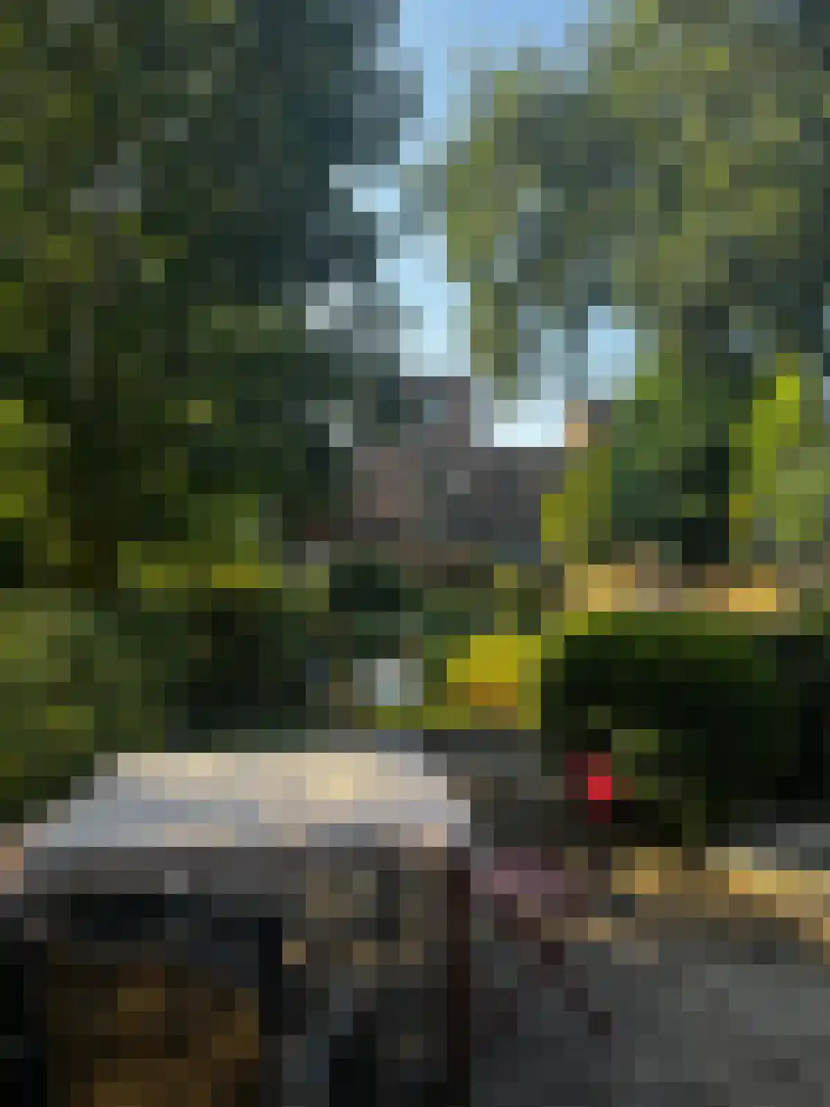 Coetsstraat Zwolle thumbnail 5