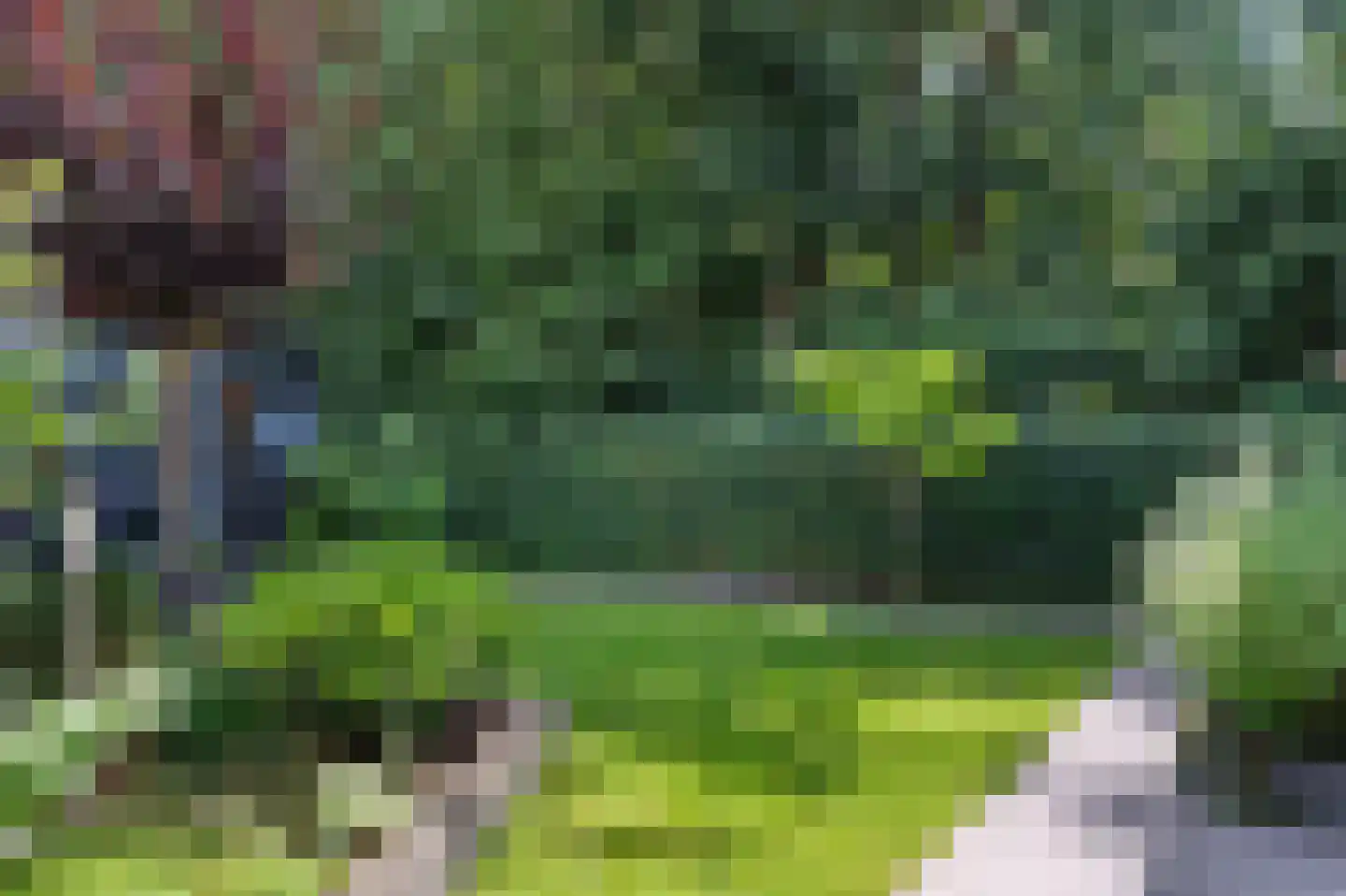 Coeveringslaan 30 Sint-Oedenrode thumbnail 34