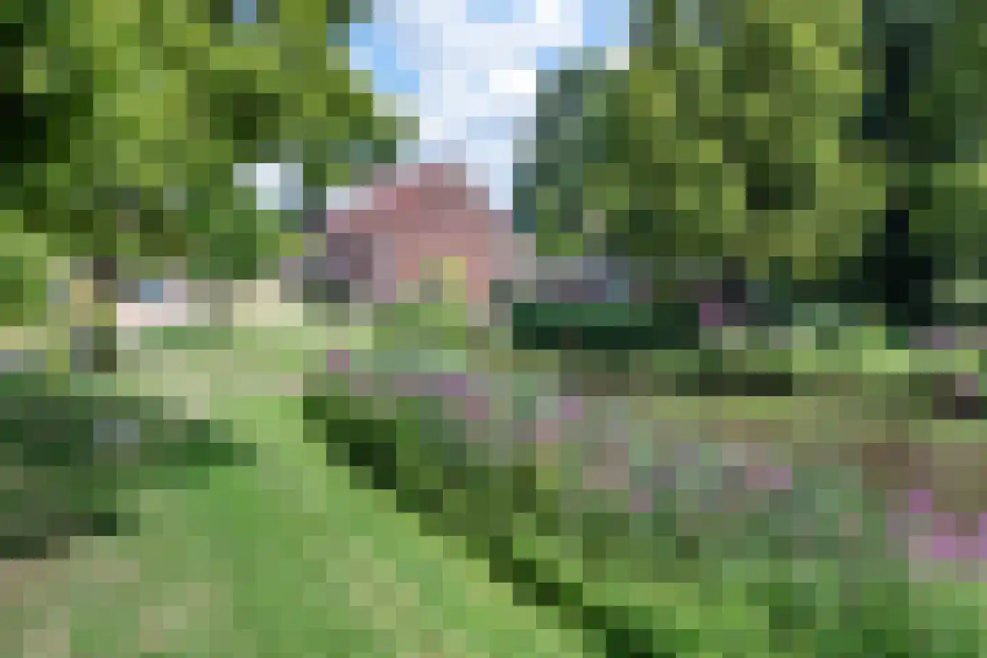 Coeveringslaan 30 Sint-Oedenrode thumbnail 40