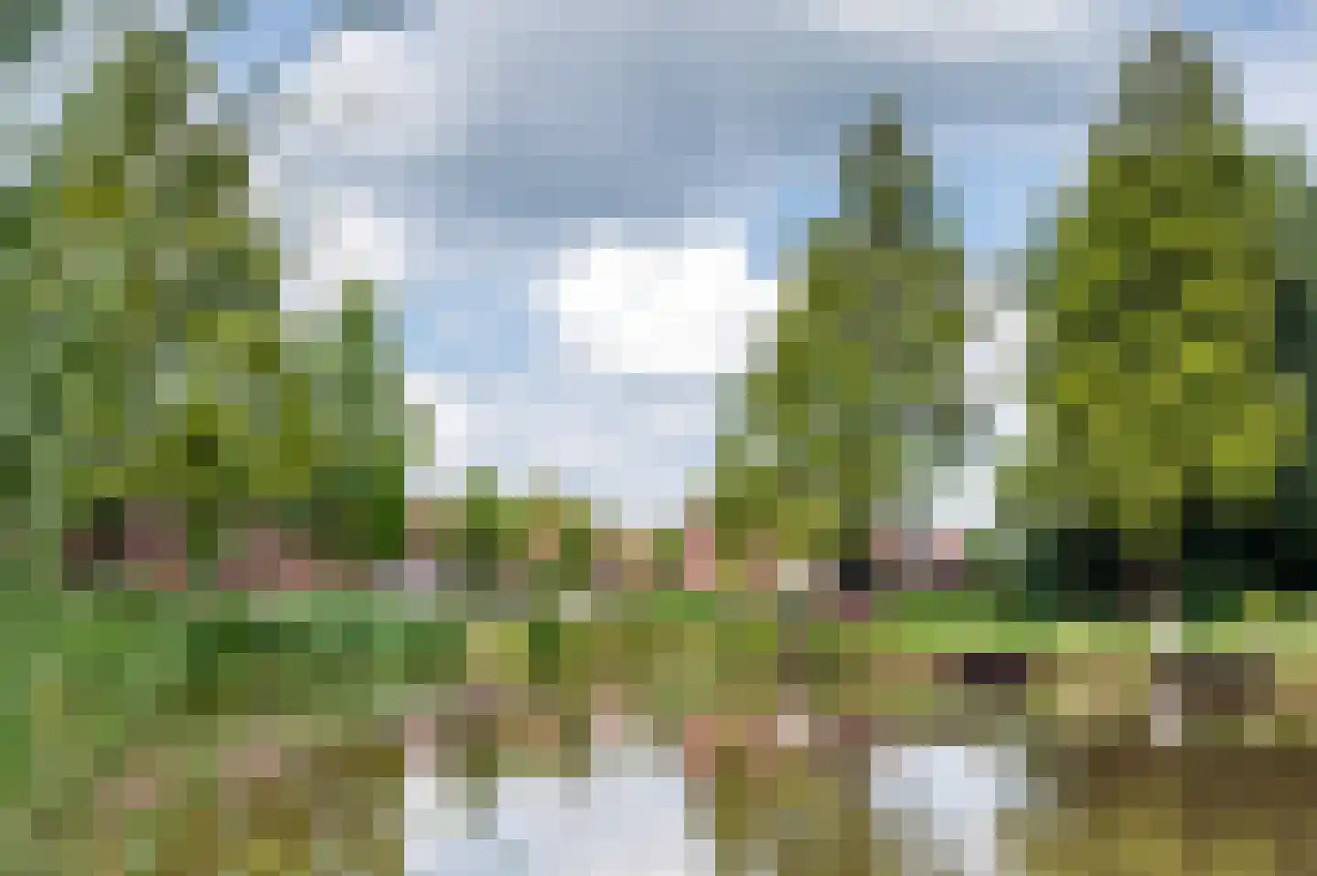 Coeveringslaan 30 Sint-Oedenrode thumbnail 42