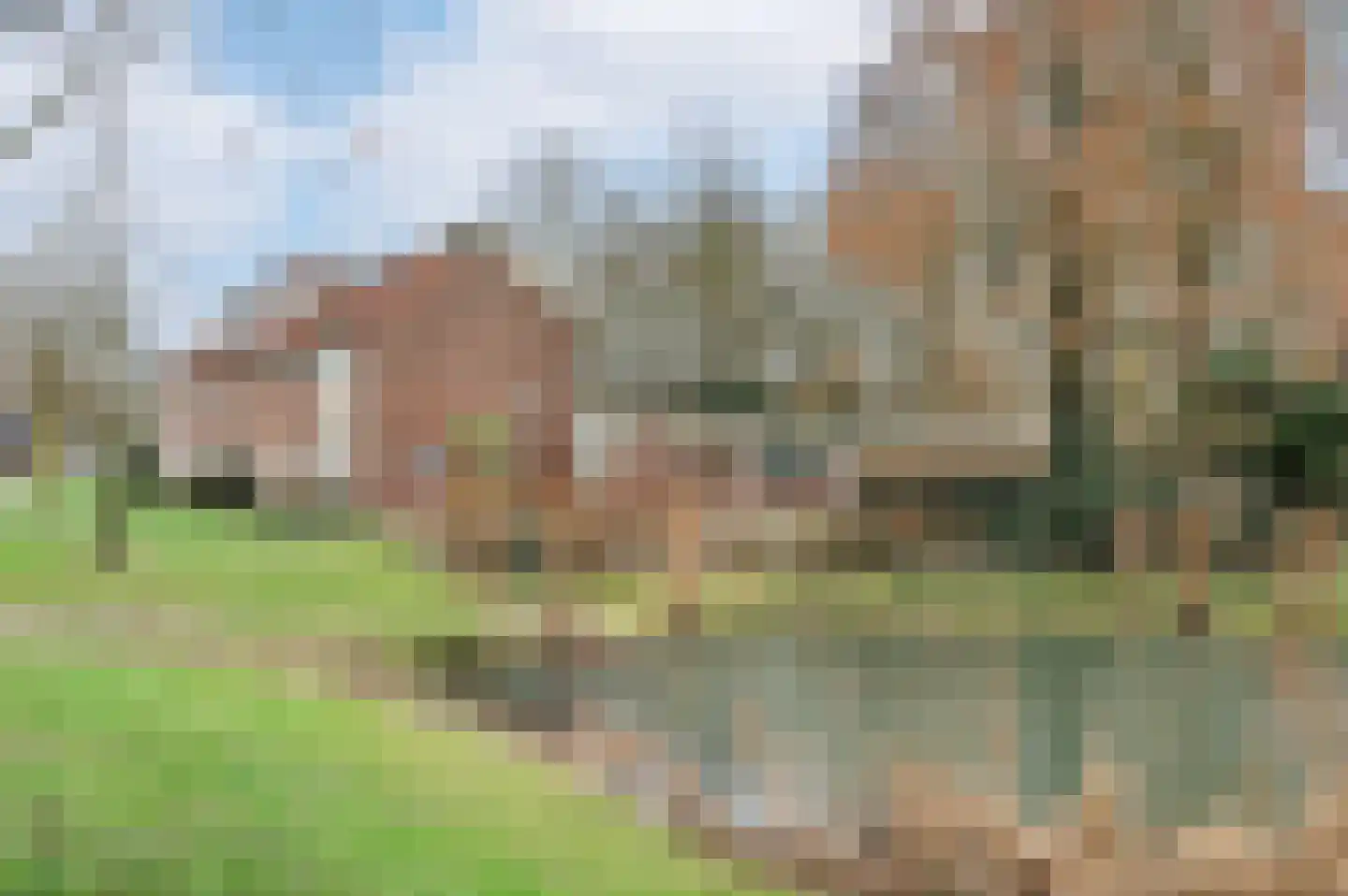 Coeveringslaan 30 Sint-Oedenrode thumbnail 46