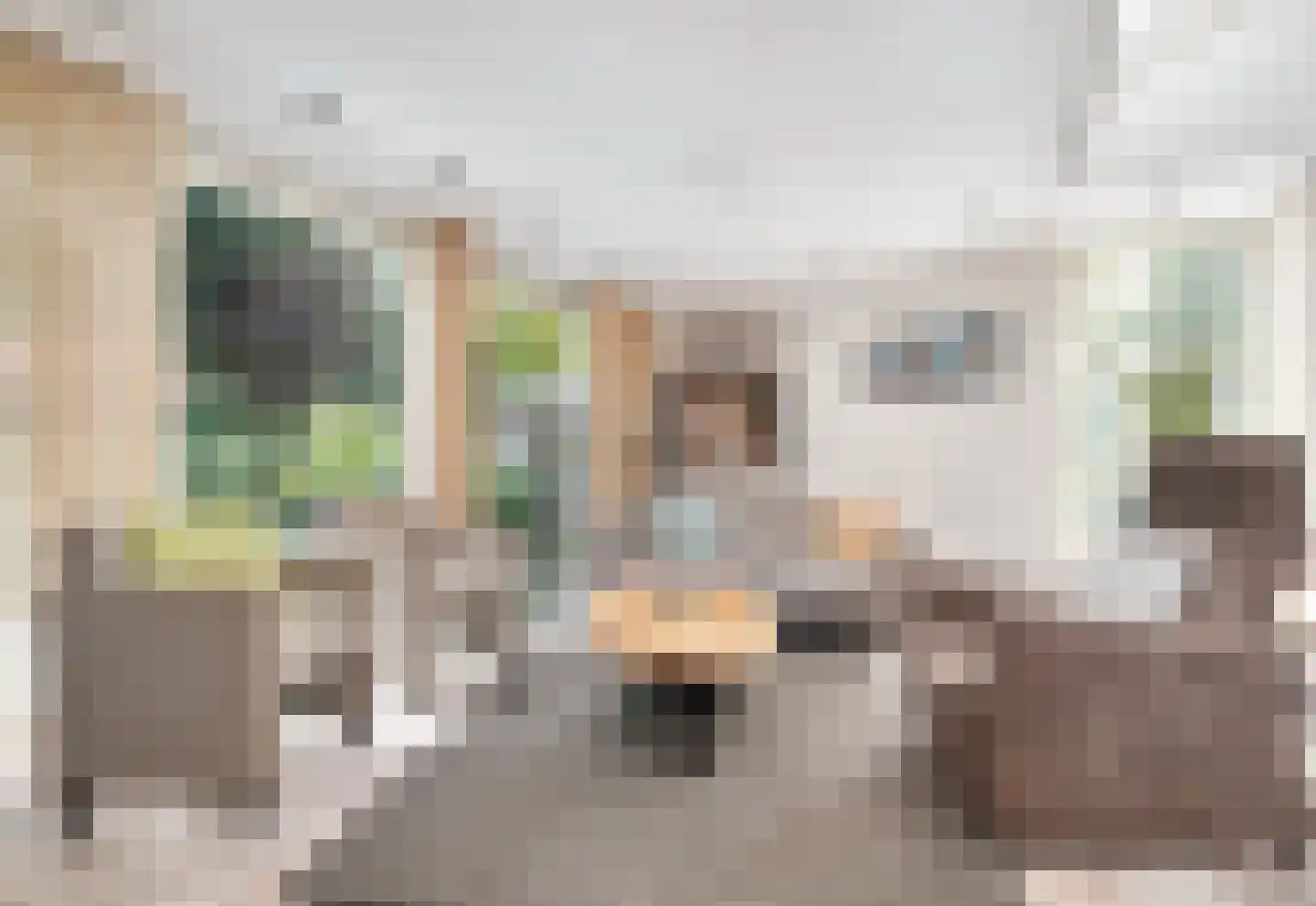 Coeveringslaan 30 Sint-Oedenrode thumbnail 7
