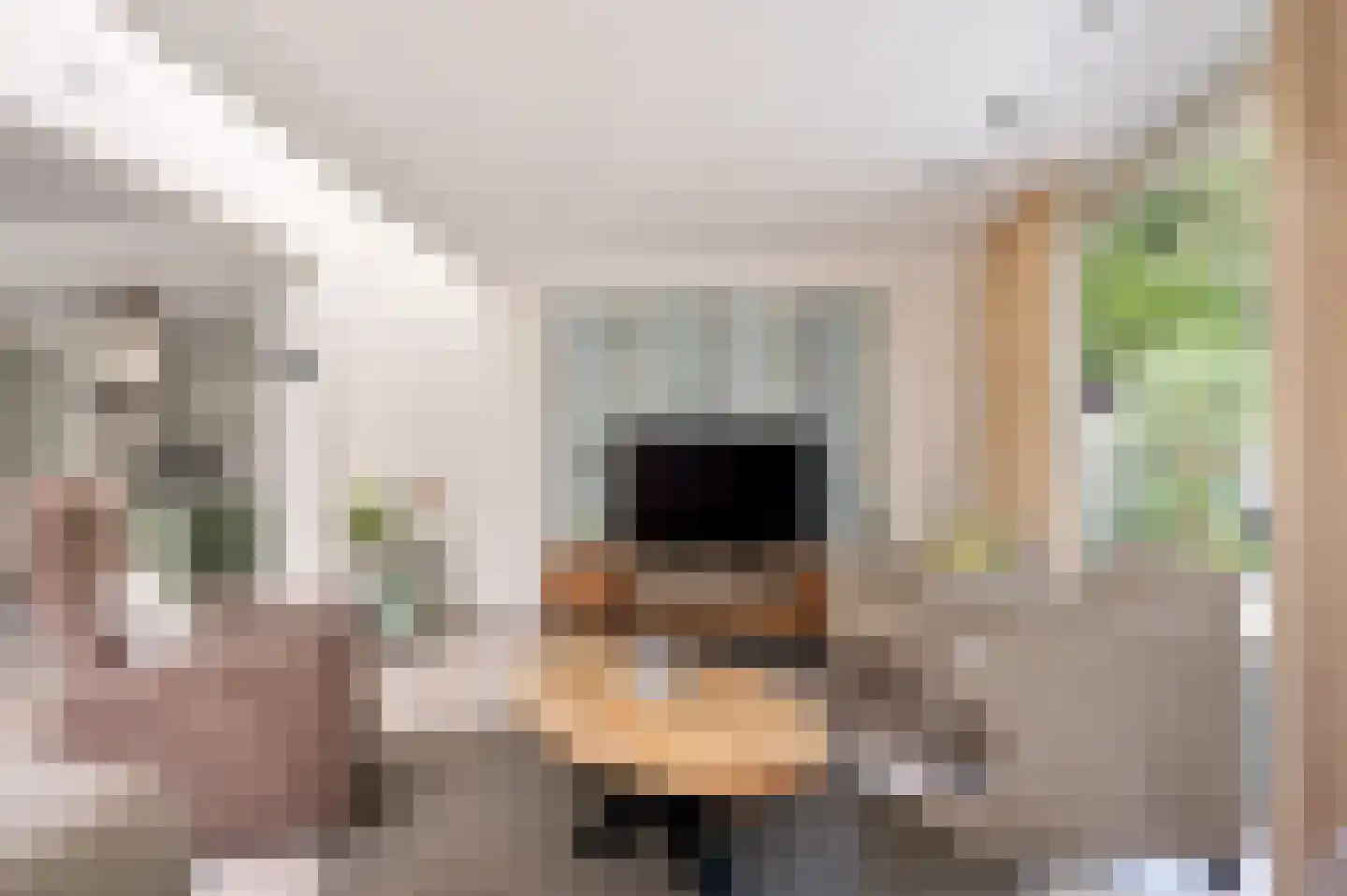 Coeveringslaan 30 Sint-Oedenrode thumbnail 8