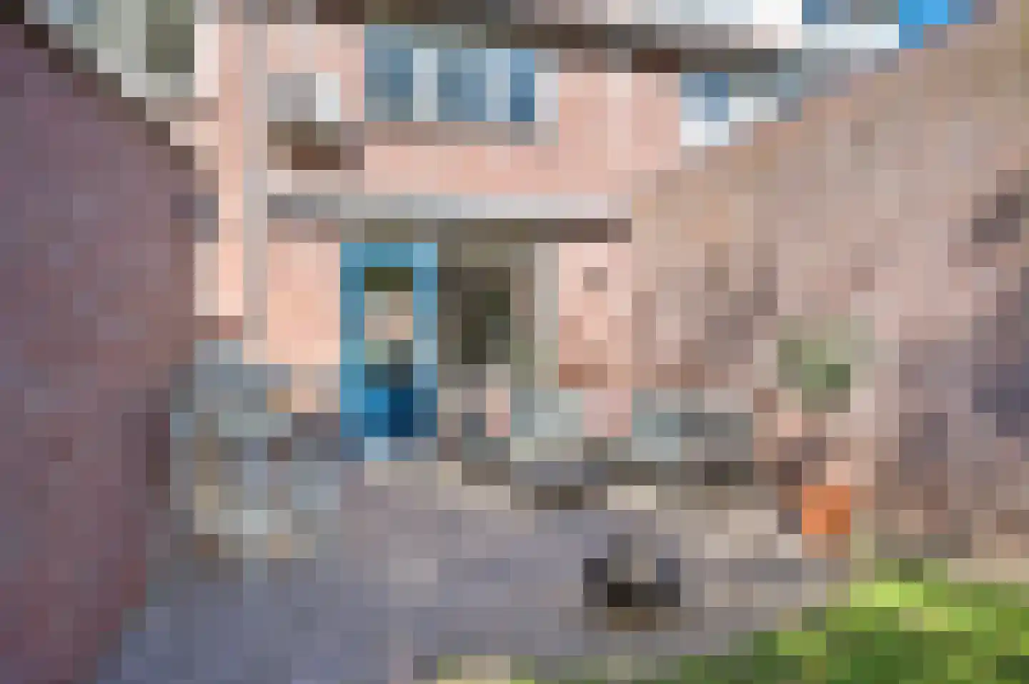 Coeveringslaan 32 Sint-Oedenrode thumbnail 28