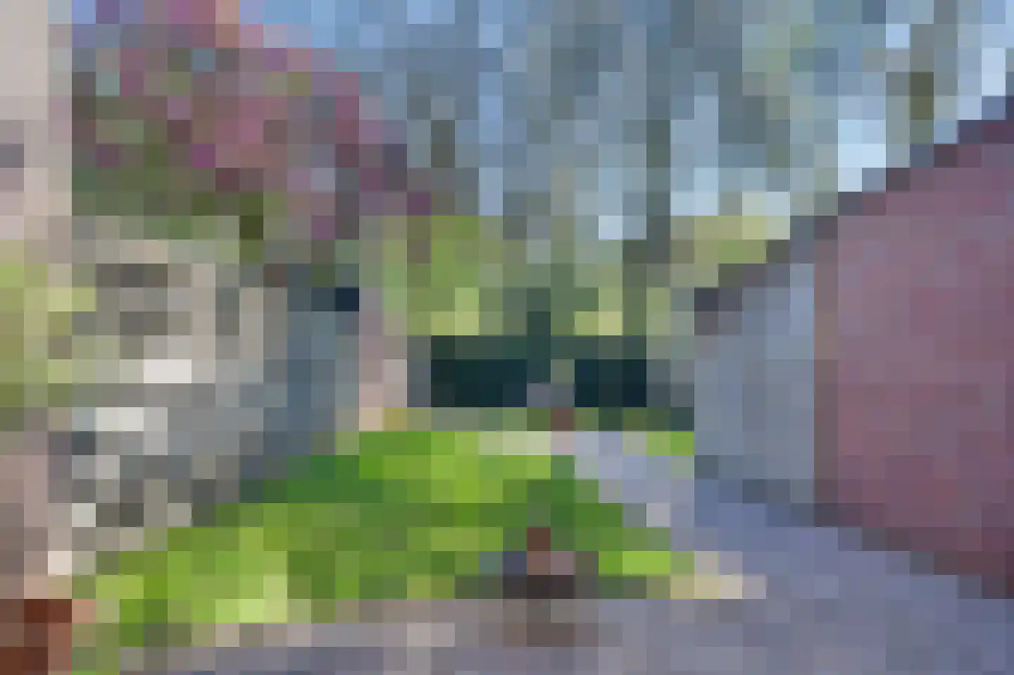 Coeveringslaan 32 Sint-Oedenrode thumbnail 4