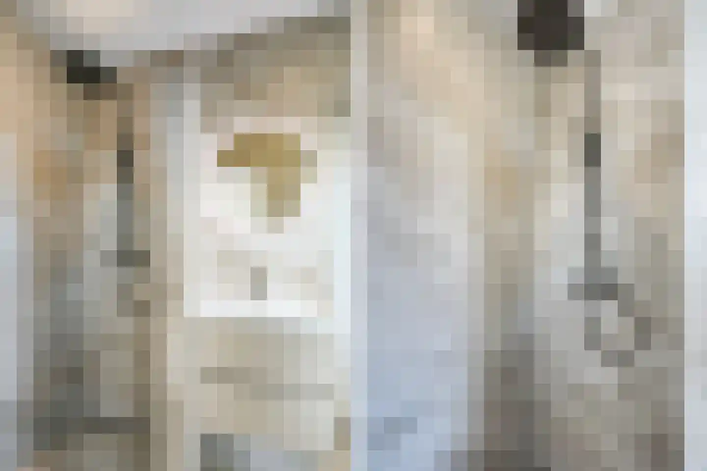 Coevordenstraat 120 Den Haag thumbnail 31