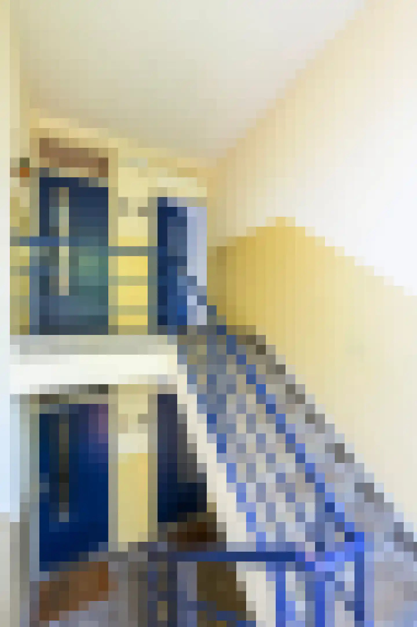 Coevordenstraat 120 Den Haag thumbnail 9
