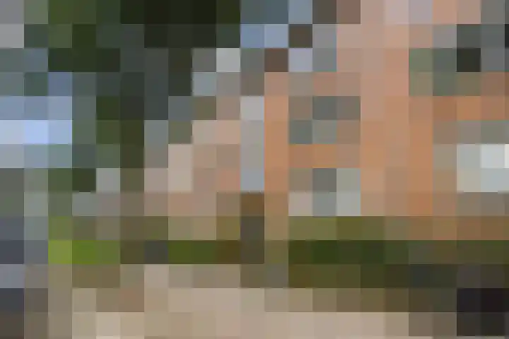 Coevordenstraat 154 Den Haag