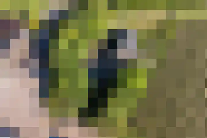 Coevorderstraatweg 17 a in Geesbrug