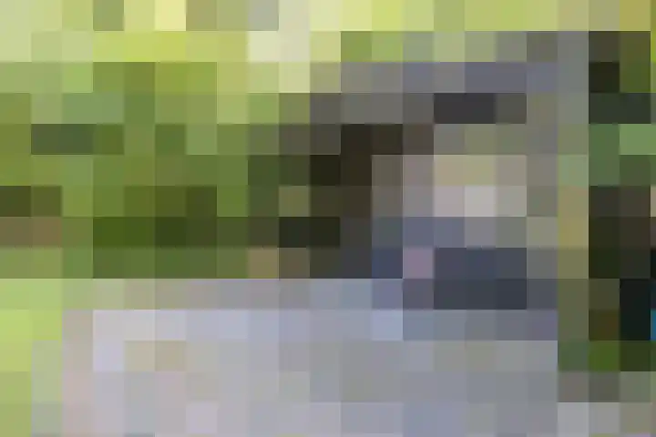 Coevorderstraatweg 17 a Geesbrug thumbnail 61