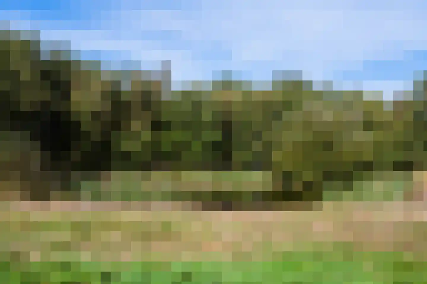 Coevorderstraatweg 95 Nieuweroord thumbnail 12