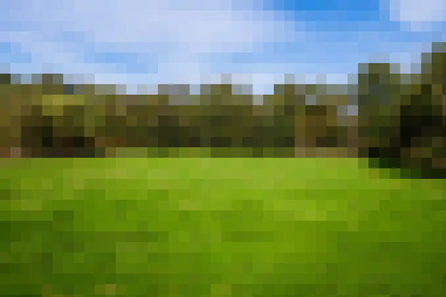 Coevorderstraatweg 95 Nieuweroord thumbnail 13