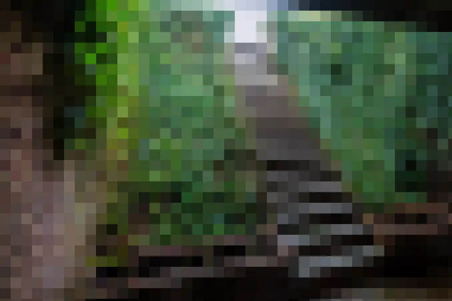 Coevorderstraatweg 95 Nieuweroord thumbnail 16
