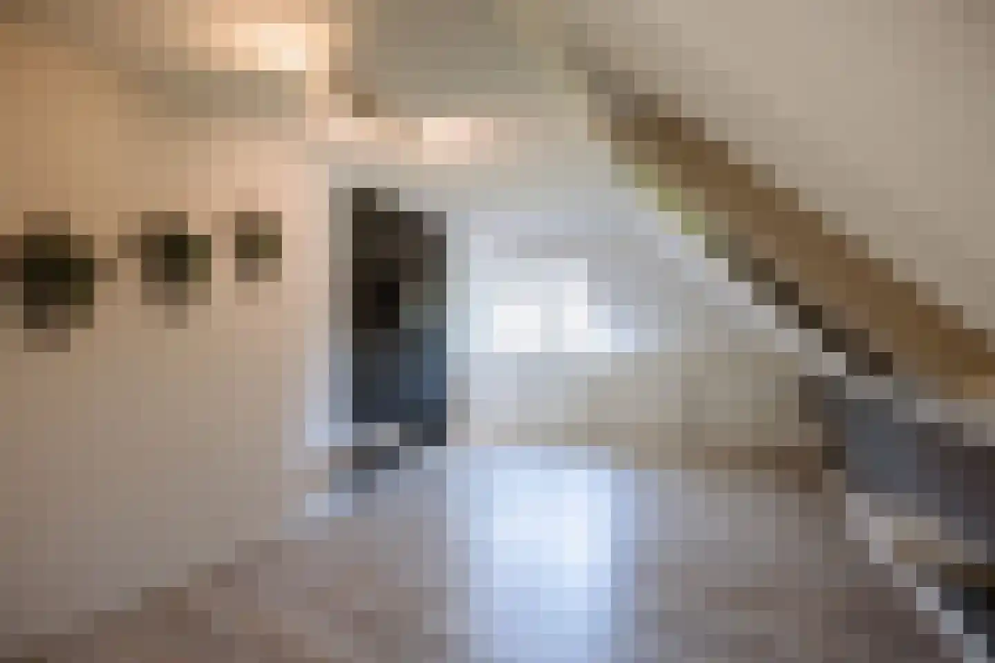 Coevorderstraatweg 95 Nieuweroord thumbnail 30