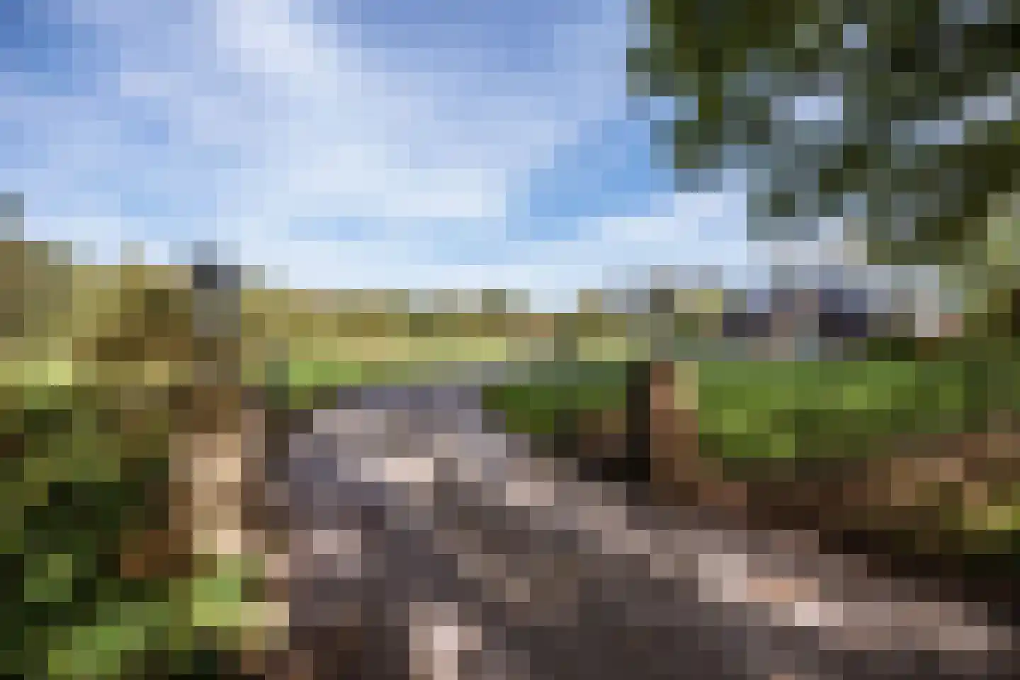 Coevorderstraatweg 95 Nieuweroord thumbnail 4