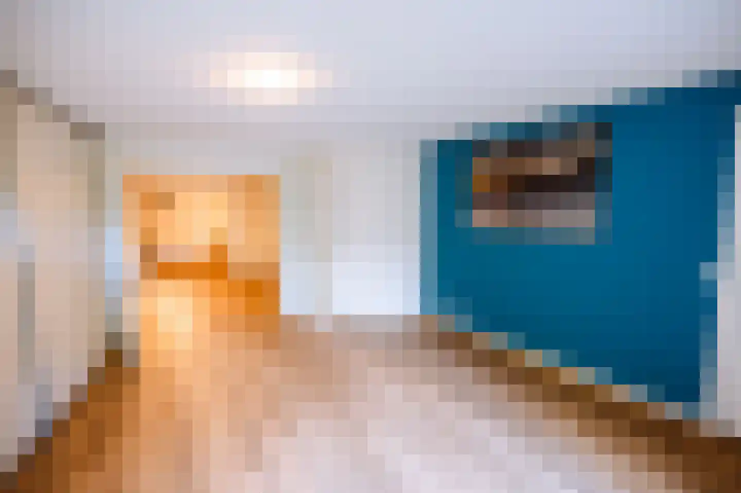 Coevorderstraatweg 95 Nieuweroord thumbnail 42