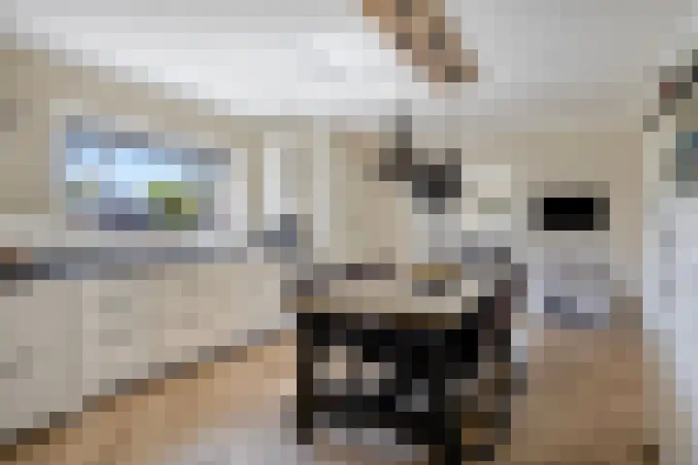 Coevorderweg 119 De Krim thumbnail 10