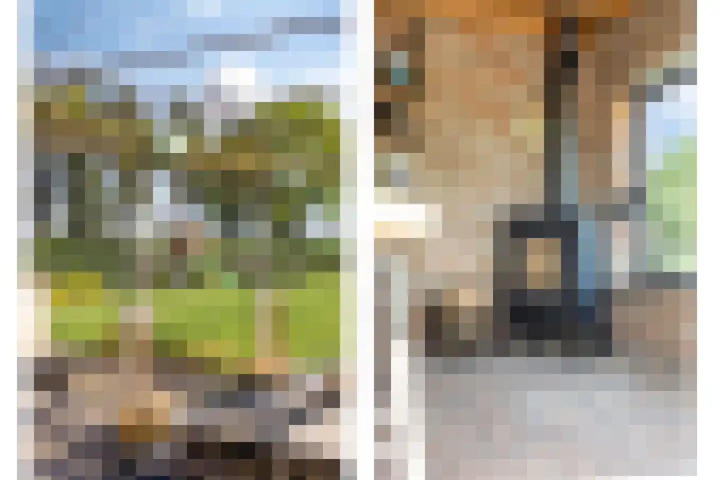 Coevorderweg 119 De Krim thumbnail 47