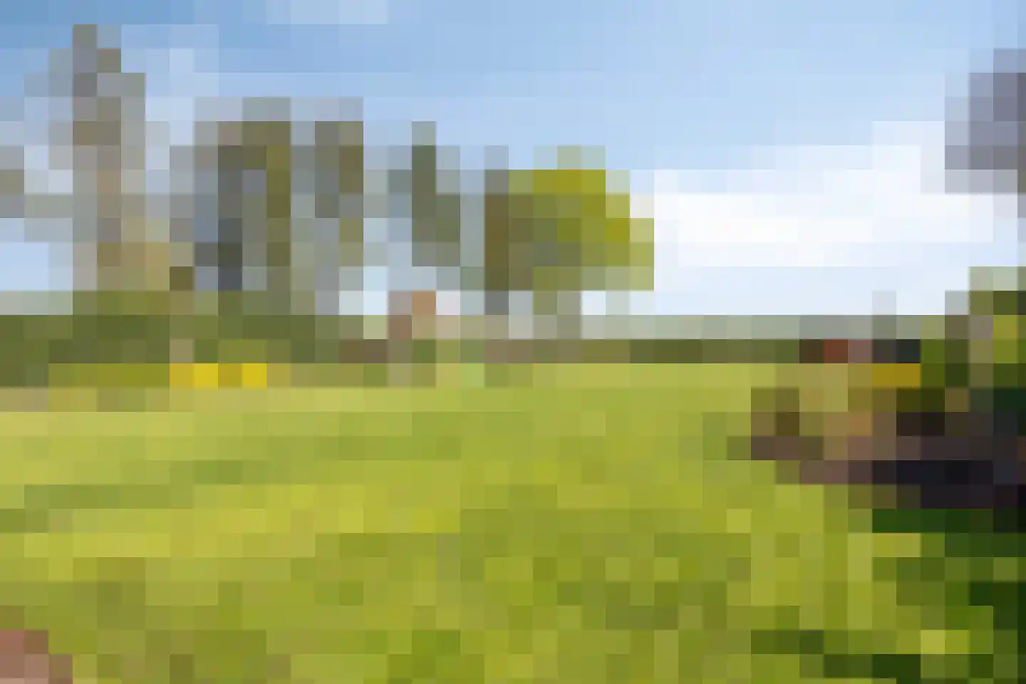 Coevorderweg 119 De Krim thumbnail 49