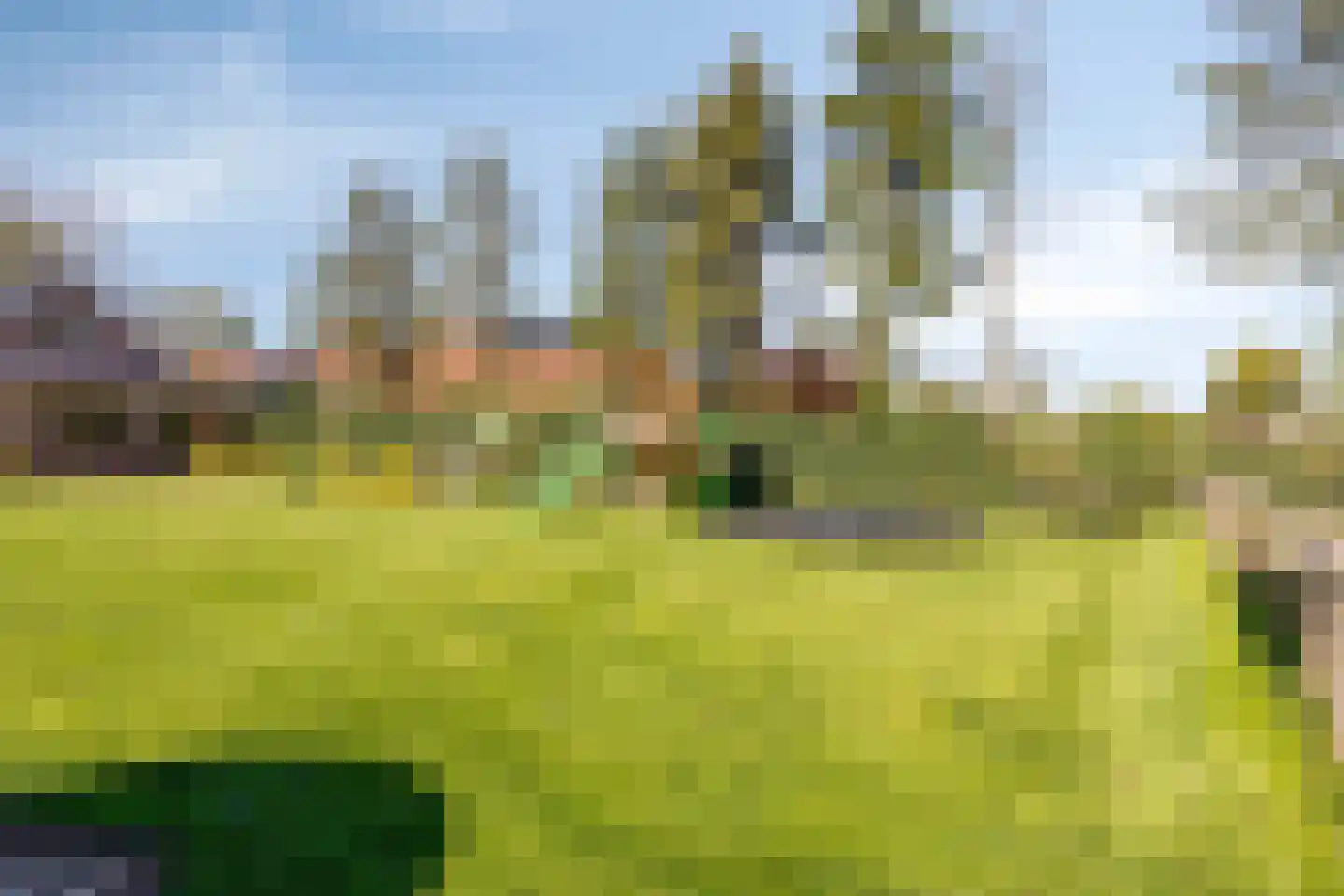Coevorderweg 119 De Krim thumbnail 51