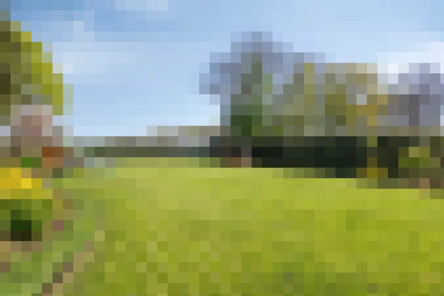 Coevorderweg 119 De Krim thumbnail 52